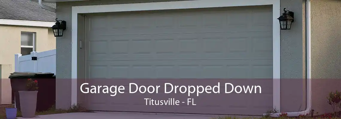 Garage Door Dropped Down Titusville - FL