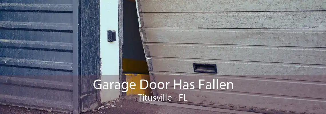 Garage Door Has Fallen Titusville - FL