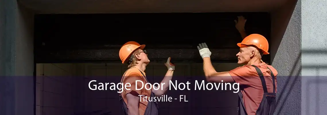 Garage Door Not Moving Titusville - FL