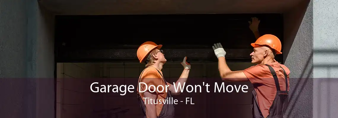 Garage Door Won't Move Titusville - FL